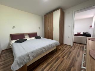 Apartmani Radivojević 2 - Sokobanja - 5