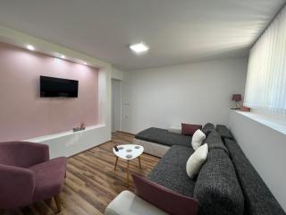 Apartmani Radivojević 2 - Sokobanja - 1