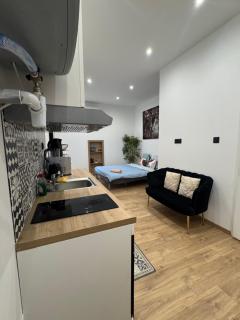 studio entier - Montauban - 1