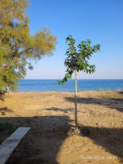 House on the wave relax - Koroni - 0