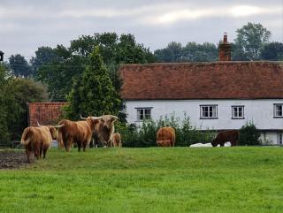Picturesque Family Hideaway Chipping Ongar Essex - Fyfield - 7