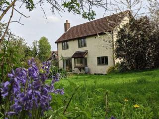 Picturesque Family Hideaway Chipping Ongar Essex - Fyfield - 5