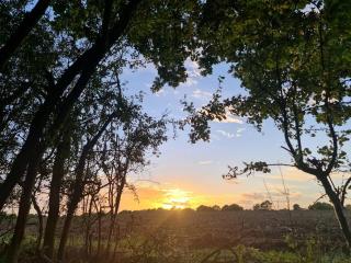 Picturesque Family Hideaway Chipping Ongar Essex - Fyfield - 4