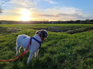 Picturesque Family Hideaway Chipping Ongar Essex - Fyfield - 3