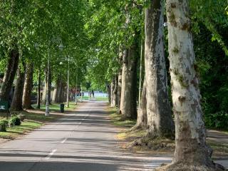 Platan Apartman - Palić - 5