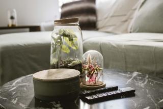 Stunning 2BD Apartment in Maida Vale - Londra - 6