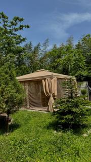 Sun House - Batoemi - 7
