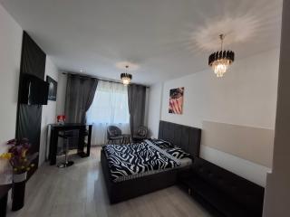 Ovidiu relaxing residence - Bucharest - 7