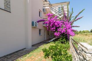 Apartments Puntizela 92 - Pula - 1