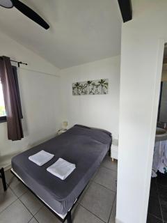 Studio du chemin de fer - Le Bois de Nèfles - 3