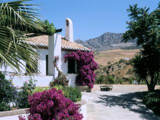 Guest house in a traditional Andalusian country estate - La Joya - 9