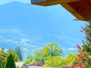 Chalet Attersee - ganzes Ferienhaus, Seeblick, Kamin, Sauna - Nussdorf am Attersee - 5