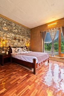 Himalayan Willow - 1