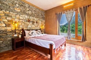 Himalayan Willow - 2