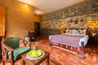 Himalayan Willow - 3