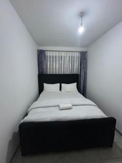 Bambi homes - Nairobi - 0