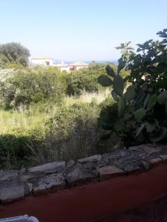 Appartamento vista mare nella verde Gallura - Isola Rossa - 3