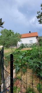 Small family house Feniks - Milna (Milnà) - 6