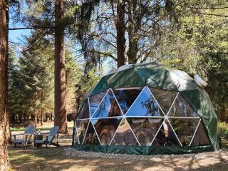 High Moor Glamping - 9