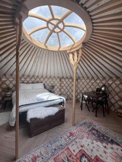 The Yurt - Colchester - 6