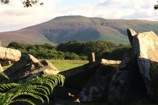 Idyllic Forest Retreat - Abergavenny 12 miles - Abergavenny - 2