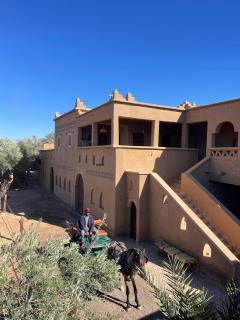 Skoura Ranch & Wellness - Tajante - 0