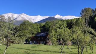 Casa de vacanță Mira - Cîmpu lui Neag - 0