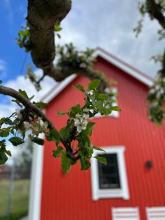 Guest house in Örebro - Örebro - 1