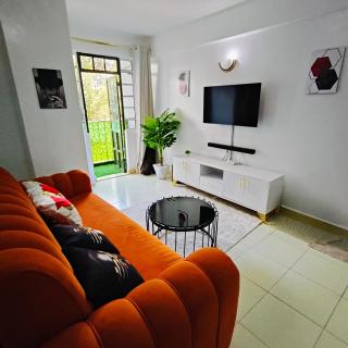 Classy homes - Nairobi - 5