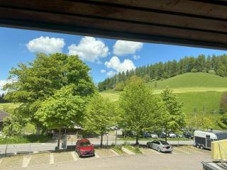 Dopelzimmer mit Pilatusblick - Eigenthal - 8
