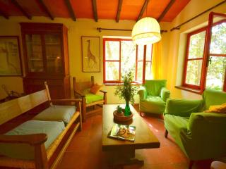 Holiday Home with Garden and shared pool - Migliorini - 9