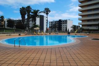 Aurora Park com piscina - Funchal - 6