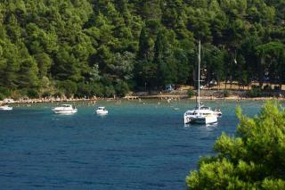 Vila Vinka , Postira, island Brač - Postira - 6