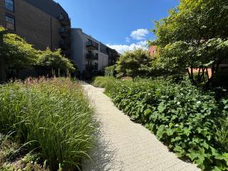 Apartament Zielone Śródmieście na osiedlu River View - Gdańsk - 1