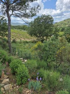 Mon petit coin de paradis - Rocbaron - 7