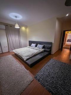 Family House - Sheikh Zayed - 5