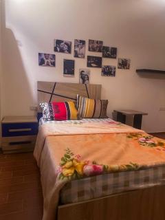 Family House - Sheikh Zayed - 1