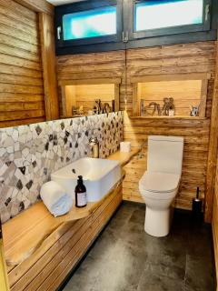 Chalet Calin - Business & Familles - Arzier - 5
