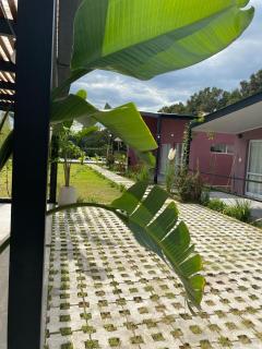 Ikigai San Pedro - 7