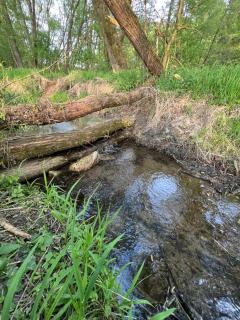 Maringotka u potůčku - Černovice - 1