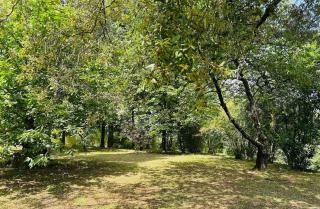 Villa Franca Nature Holidays - Rezzo - 0
