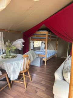 Luxury tree top glamping safari tent - Killarney - 6