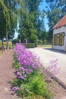 De Nieuwe Stal - Scherpenisse - 9