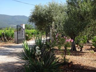 La campagne - Cuers - 9
