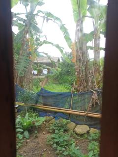 Son Thoi Homestay - Lào Cai - 9