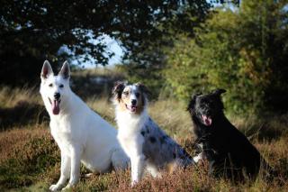 Ferienwohnung Ententeich - 1