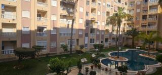La Perla Urbana - Torrevieja - 5