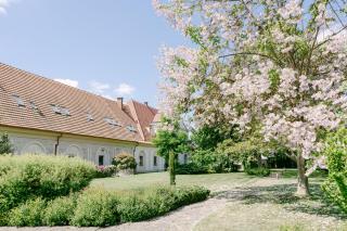 Na Kmíně - Obříství - 5
