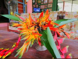 Elpitihena nature cottage Awissawella - - 4