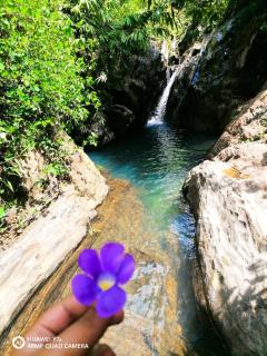 Elpitihena nature cottage Awissawella - 2